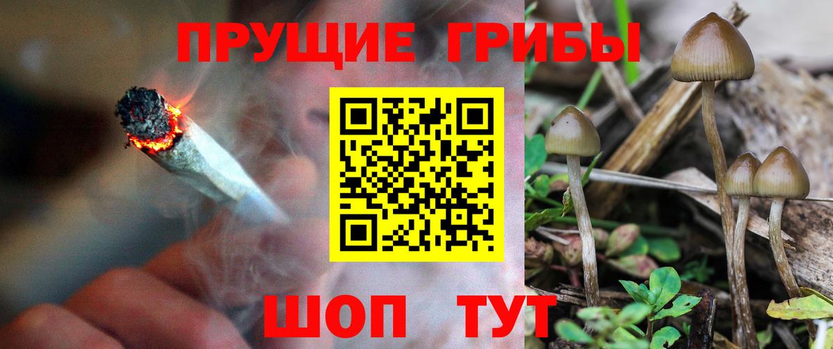 Галлюциногенные грибы GOLDEN TEACHER Глазов